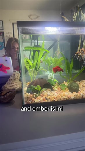 EveLynn Henson on TikTok