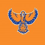 Hoffman Estates (H.S.) - Roster