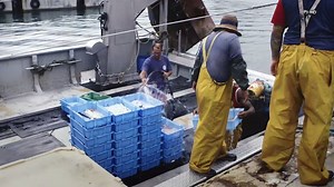 Avui és un d'aquells dies que ens hauria agradat començar el programa, ho farem el 13 a TV3 #EstàPassantTV3 | Està passant