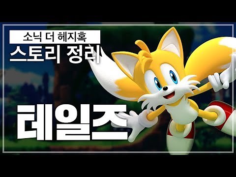 소닉의 영원한 파트너! 테일즈!! / 소닉 스토리를 알아보자! #1 [영래기]