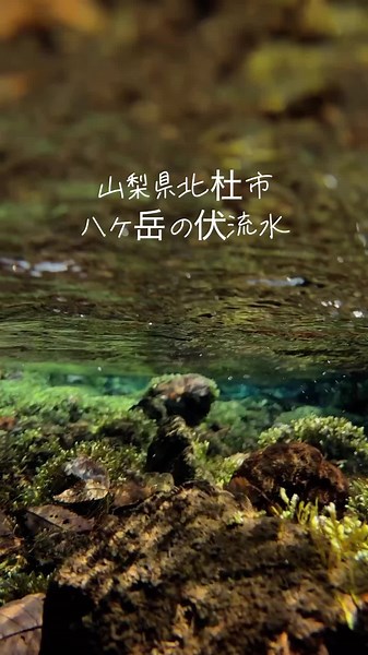 湧水は山の神からの贈り物 #湧き水 #景色 #絶景 #北杜市 #八ヶ岳