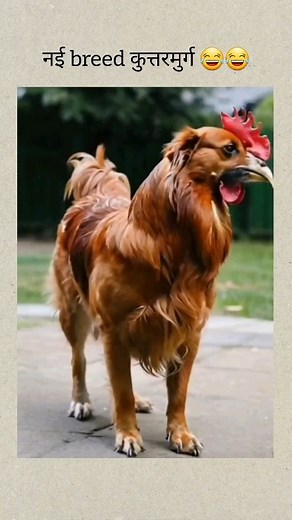 Vines_da_addaa on Instagram: ""क्या आप ऑनलाइन गेमिंग से पैसे कमाना चाहते हैं? 🎮💰 1Win पर साइन अप करें और कोड 'VSS081' का उपयोग करें। लिंक बायो में है!" #1win #earnmoney #colortradingmoneymaking #onlineearning #onlinegaming"