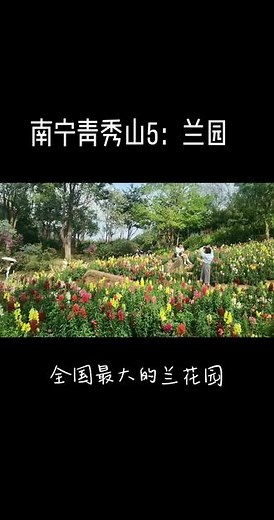 南宁青秀山，5A景区，兰园~全国最大的兰花园，美不盛收~#春暖花开奔你而来 #养花修心 #南宁青秀山风景 #踏青赏花