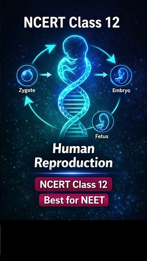 Human Reproduction 16 😱 | NCERT Class 12 | NEET 2026 #Quick Revision Shorts #biology #neetmcqs