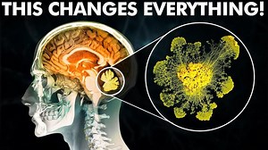 Scientists Discover ALIEN FUNGUS That Will REPLACE The Human Brain – Lifeboat News: The Blog