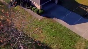 945K views · 16K shares | Check out this video of a 68 f100 aka Frankenstein it has a supercharged 5ltr quad cam v8 with 700rwhp sounds so tuff | Awesome Fords | Facebook