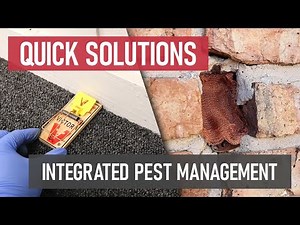 Quick Solutions: Integrated Pest Management (IPM)