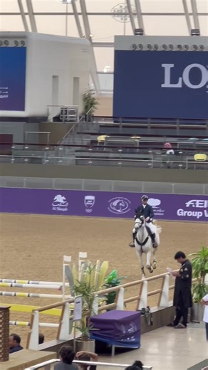 Horse jumping Competition Qatar #horseriding #horseracing #خيل #foryou #cheval