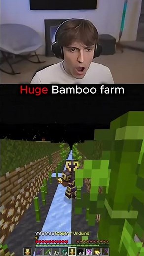 Biggest Bamboo farm on Donutsmp? #donutsmp #minecraft #drdonut