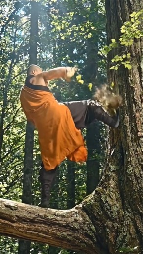 Shaolin Master’s Tree Top Punch & Kick Training 🥋🌳 #ShaolinMaster #KungFuTraining #MartialArts