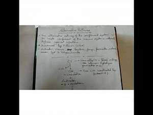 Alternative Pathway - (Complement system)