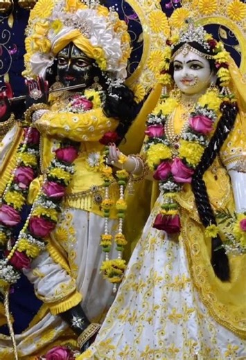 Radhe Radhe 🙏🙏🌹🌹