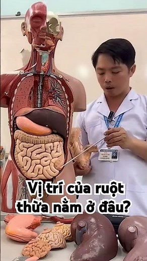Viêm ruột thừa cấp. Ruột thừa nằm ở vị trí nào?