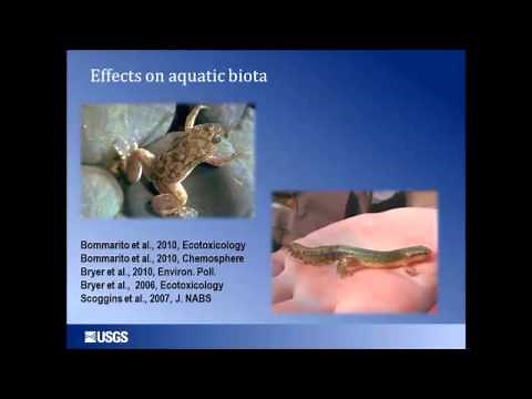 PAHs/Coal Tar Sealants Effects on Environment & Human Health