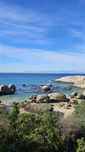 Lovely Holiday in Simon's Town