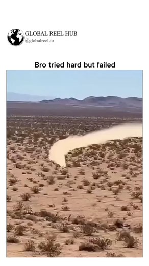 GLOBAL HUB on Instagram: "The video depicts a Greater Roadrunner, a North American desert bird capable of sprinting at up to 26 mph, creating a dramatic dust trail that evokes the Looney Tunes Road Runner cartoon. Posted by a dog-focused entertainment account, the clip unexpectedly garnered 49,000 views and 136 likes, demonstrating broad appeal of fast animal feats beyond typical content themes. User replies blend humor with curiosity, referencing cartoon sound effects like "beep beep" and debat