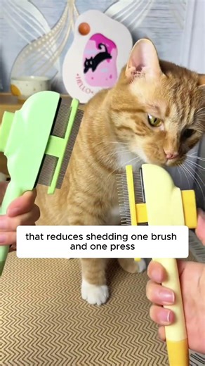 Get rid of loose hair quickly with this Cat Hair Removal Comb—grab yours today! 😻✨
