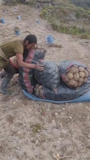 Videos de yodlercito👉23 (@yodlercito.23) con “Sisariy Lucero - 2016 Remastered - Alborada”