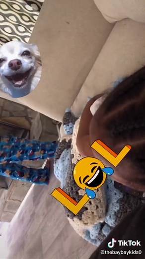 The Bay Bay Kids (@thebaybaykids0)’s videos with original sound - The Bay Bay Kids