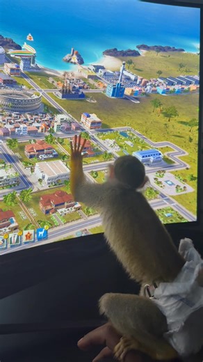 Trying to catch the cursor lol | Jedidiah Brown