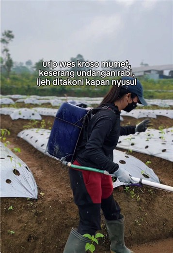 Mung tak batin tok — Arti dan Ungkapan