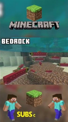 Part...60.... Minecraft Java vs Bedrock – 🏆 The BIG Differences Explained! #minecraft