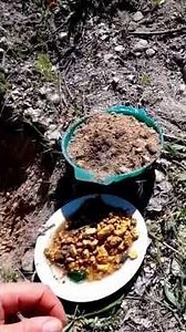 Is YUKON Experiencing the BIGGEST GOLD Rush in HISTORY Right Now?