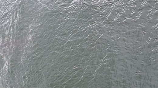 Careful out there, monster's lurk in the deep... #pikefishing #pike #flyfishing #flyfishingaddict #flyfishinglife #flyfishingjunkie #flyfishingadventures #pikeonthefly #pikeflyfishing | pikeonthefly.com