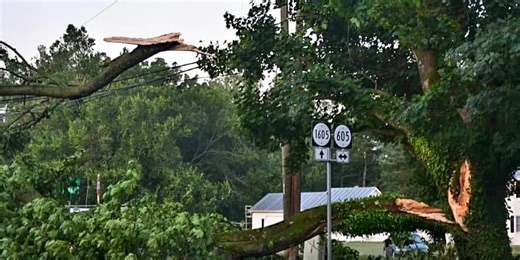The 2012 derecho- A powerful, widespread and destructive storm