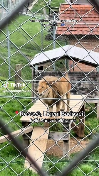 Eksploroni Pyllin e Arinjve në Mramor, Kosovë