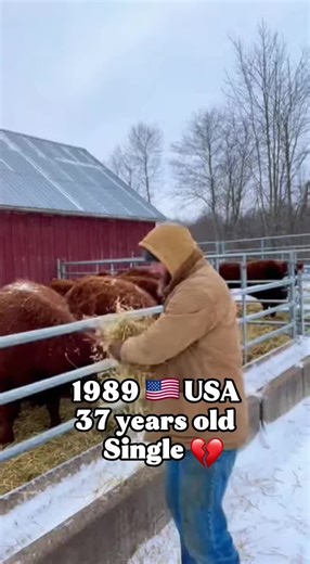 Finding Love as a Single Man: The Journey Ahead