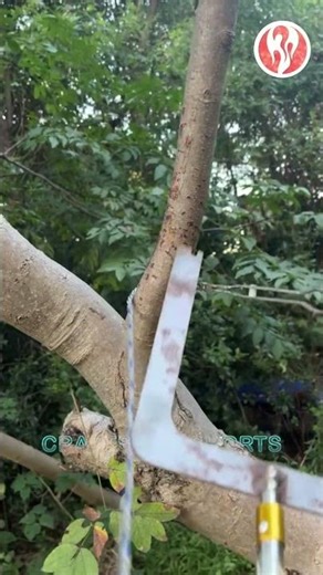 Rope | A tool for tying ropes around branches