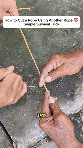 How to Cut a Rope Using Another Rope 💯 | Simple Survival Trick