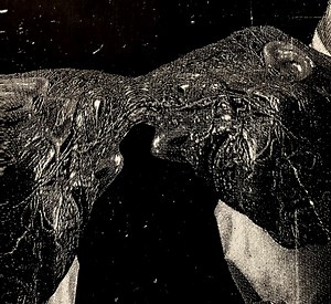 Secret Boyfriend - Memory Care Unit