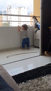 Cat stops toddler from climbing over balcony