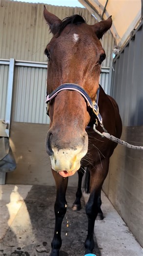 Missing her grumpy face 💞