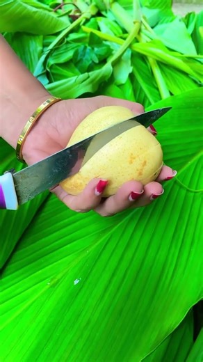 Buah Pir Madu #buahpir