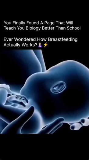 Anatomy | Physiology | Body facts on Instagram: "Ever Wondered How Breastfeeding Actually Works? 🤱🧠 Breastfeeding isn’t just feeding — it’s a perfectly coordinated biological process between the mother and baby. When a baby latches on and begins to suckle, nerve endings in the nipple send signals to the brain. This triggers the release of two powerful hormones: prolactin, which helps produce milk, and oxytocin, which causes the milk to flow. Milk is made inside tiny sacs called alveoli in the 
