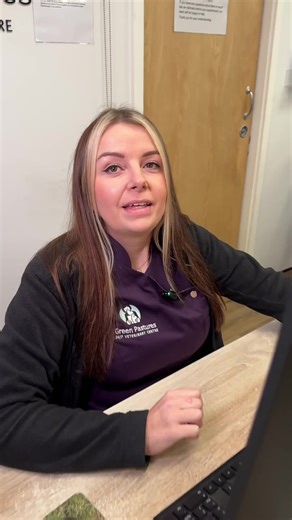 3 cat breeds you should NEVER own... (If you have one of these, run quick!) 😬 #pets #greenpastures #vets #fyp