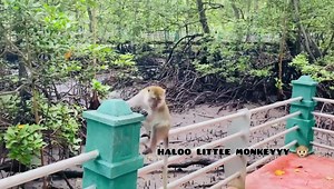 18K views · 267 reactions | Alhamdulillah, kami dah selamat sampai ke destinasi. Selesai sudah live outdoor kita harini. thankyou so much kakak kakak yang support iqa, teman iqa dan team teroka manjung hari ni朗❤️ . | Iqaish LaCouture | Facebook