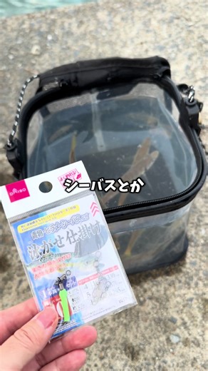 ダイソーの新しい釣り仕掛けでの大物狙い