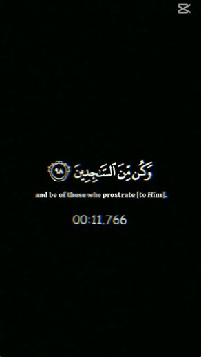 احترم القرآن الكريم