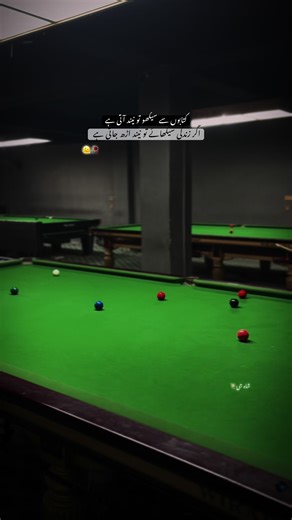 Life Lessons Learned Through Snooker and Books