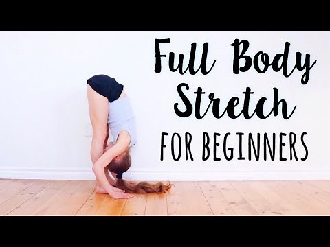 Beginner Stretches for Flexibility