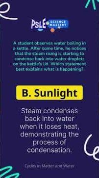 This PSLE Science Question Tricks Many Students!