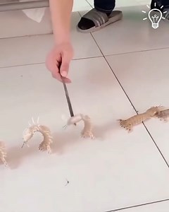 A little shrimp dance🦐 | Pretty Hairstyles