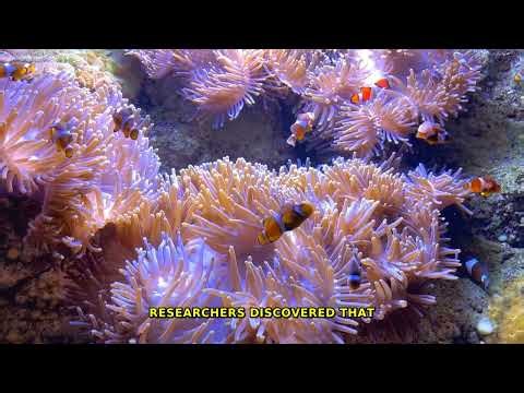 Ocean's Secret: Exploding Methane, Billion Bomb Power!