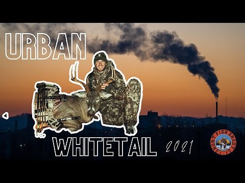 Urban Deer Hunting Ohio | Deer Hunting 2021