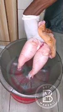 Have you ever wondered if cow testicles can be consumed?