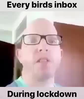 🇮🇪 Sandy C 🇮🇪 (@sandycoriginal)’s videos with original sound - 🇮🇪 Sandy C 🇮🇪